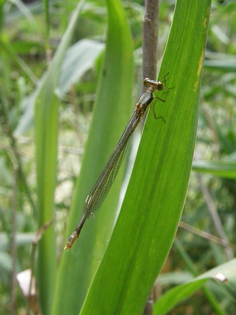 e0064158_23135469.jpg