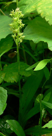 b0186563_224948100.jpg