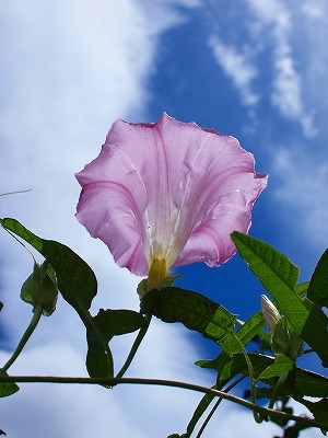 b0180764_23423556.jpg