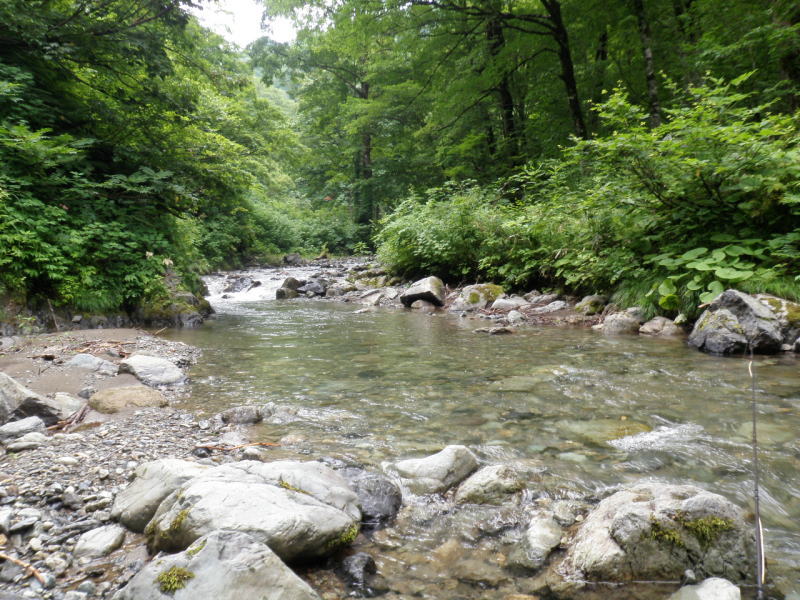 b0120066_16162796.jpg