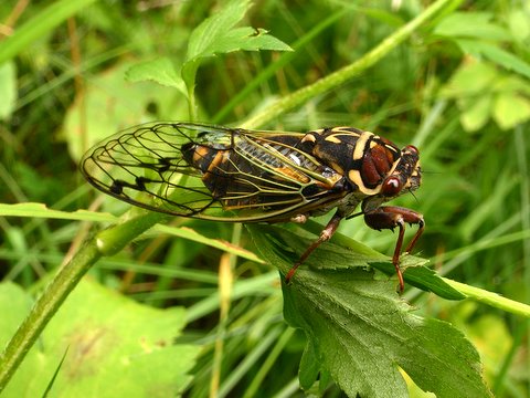 b0130166_17262698.jpg