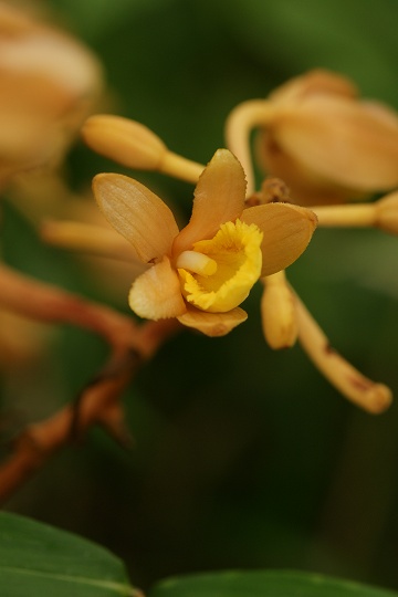 e0054067_1352951.jpg