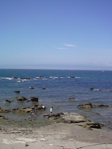 e0153367_14224264.jpg