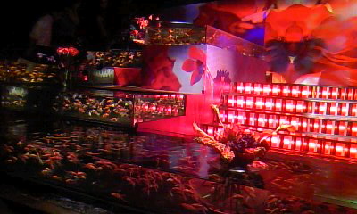 c0032771_1304834.jpg