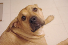 f0004775_5152831.jpg