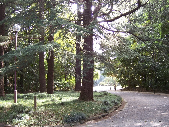 c0198781_72560.jpg