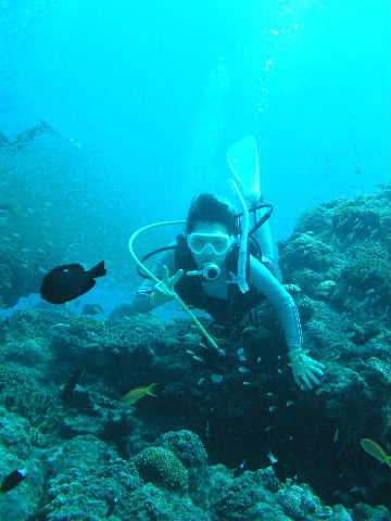 a0100798_22122316.jpg