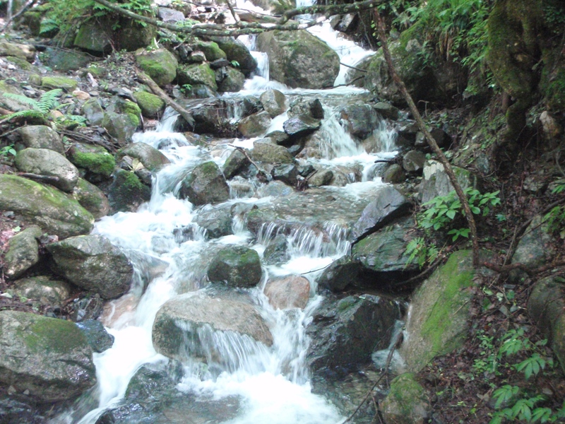 c0147398_2394927.jpg