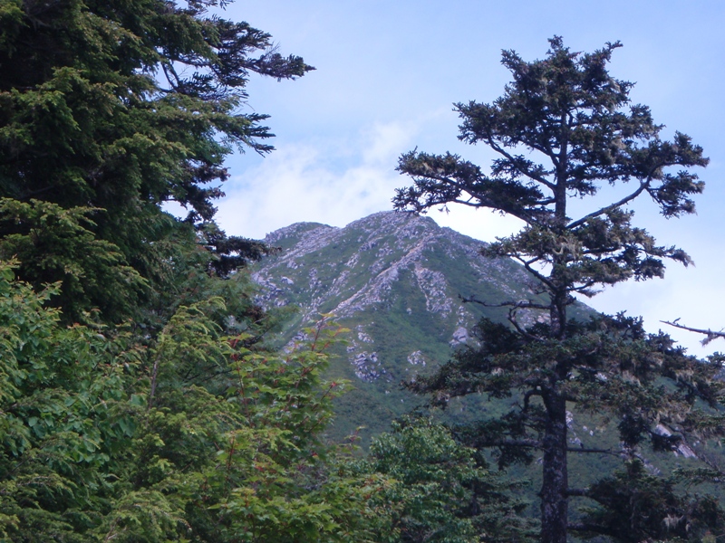 c0147398_240197.jpg