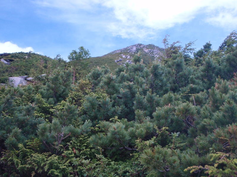 c0147398_2403990.jpg
