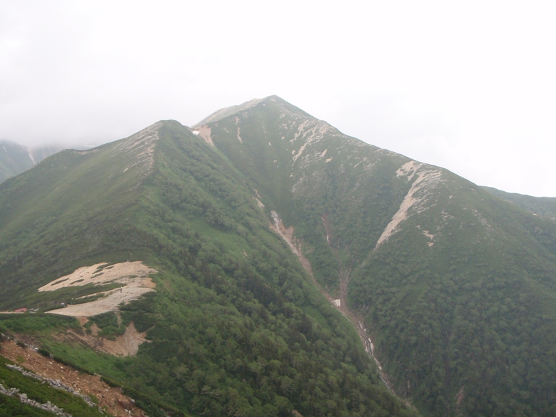 c0147398_2433255.jpg
