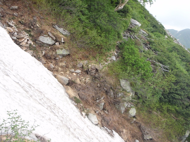 c0147398_2434664.jpg