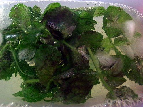 e0043700_231698.jpg