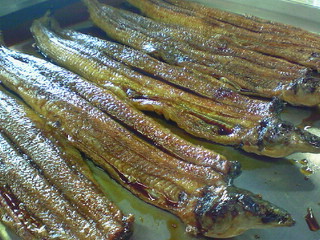 f0175403_1285680.jpg