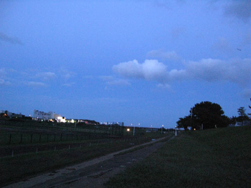 c0011204_23203976.jpg