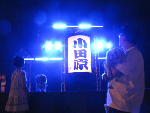 c0011204_23352614.jpg