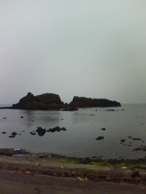 e0183804_329427.jpg