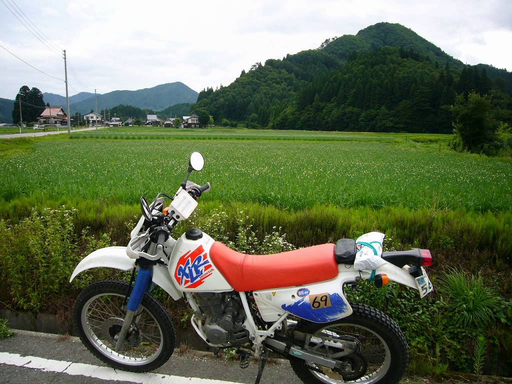 b0050305_9183083.jpg