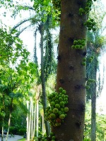 c0148705_201623100.jpg