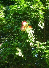 c0148705_20174542.jpg