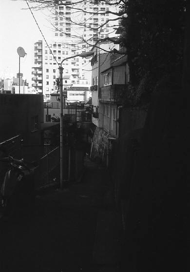 c0171206_9354560.jpg