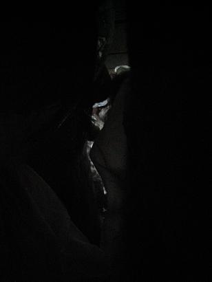 f0159406_1513845.jpg
