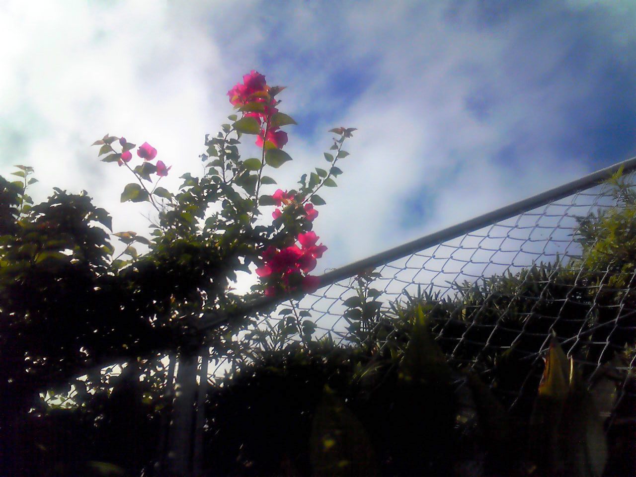 c0092408_17213814.jpg