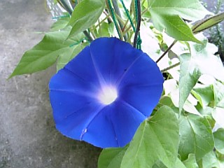 e0098908_22205452.jpg