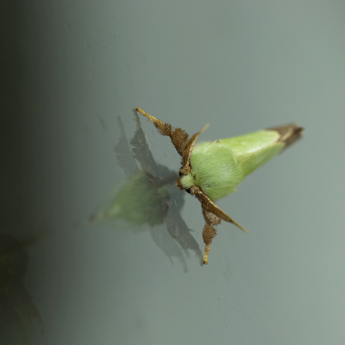 e0142611_1904978.jpg