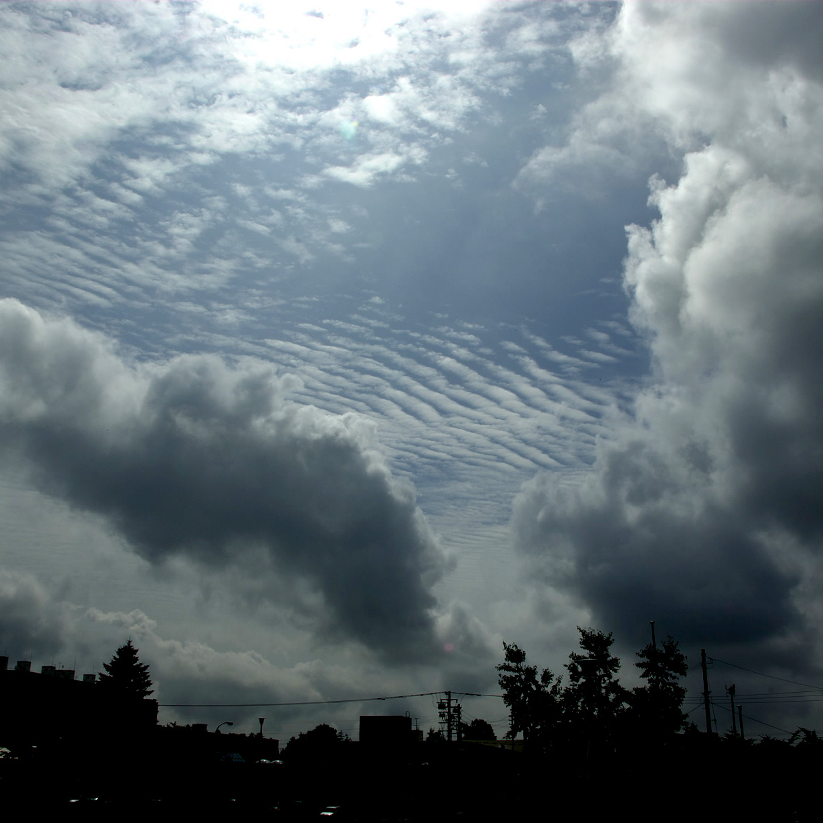 e0142611_9201453.jpg