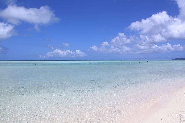 f0162319_1374462.jpg