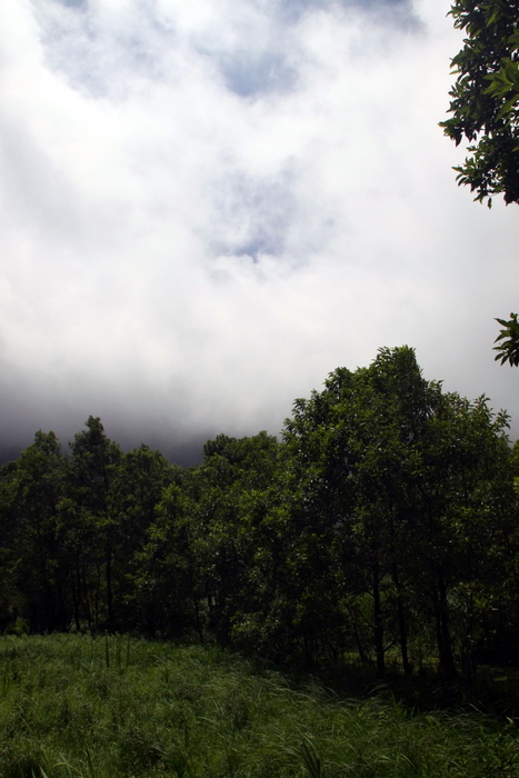 b0165522_1442688.jpg