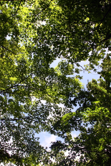 b0165522_14432216.jpg