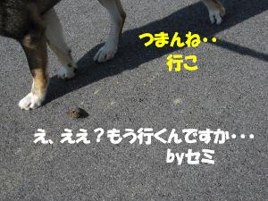 f0143123_20384082.jpg