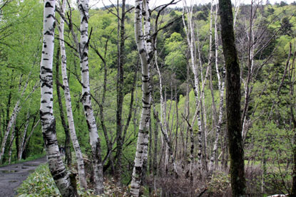 f0137324_2359298.jpg