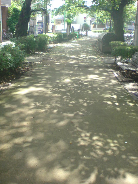 e0016828_11155696.jpg