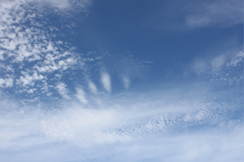 a0139631_0482547.jpg