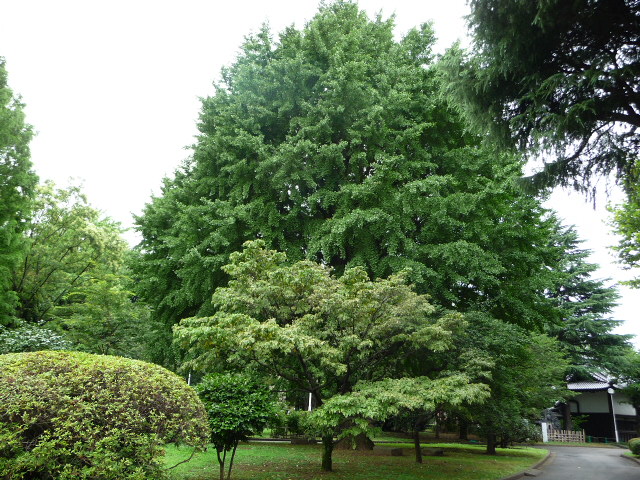 b0190242_17152083.jpg