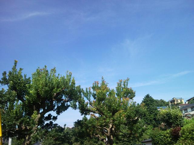 e0150843_2342920.jpg