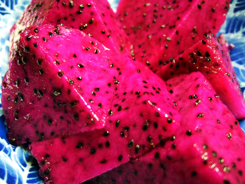 a0116946_1982324.jpg