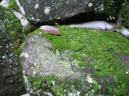c0145449_0442760.jpg