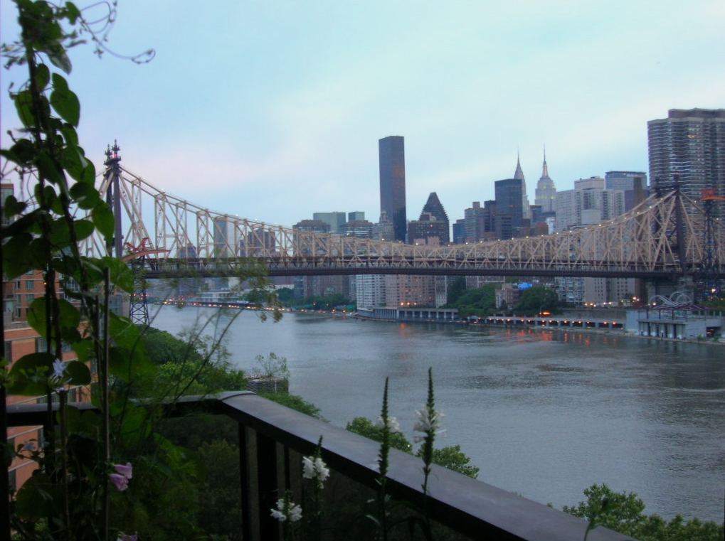 c0194753_13455382.jpg