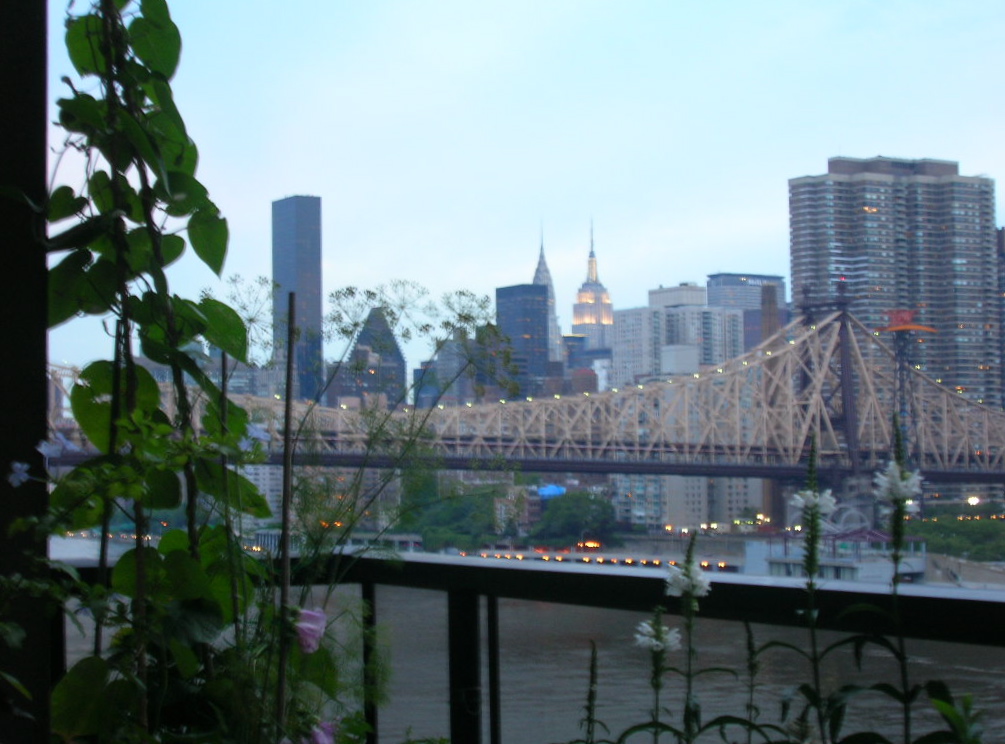 c0194753_13565594.jpg
