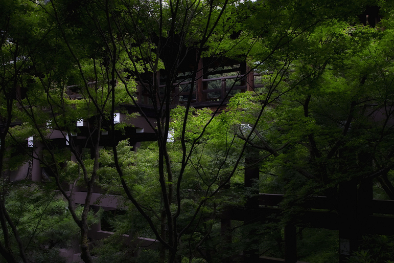 d0141053_2043194.jpg