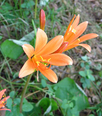 a0001354_19543826.jpg