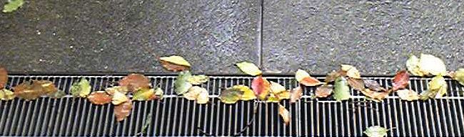 a0111756_11214953.jpg