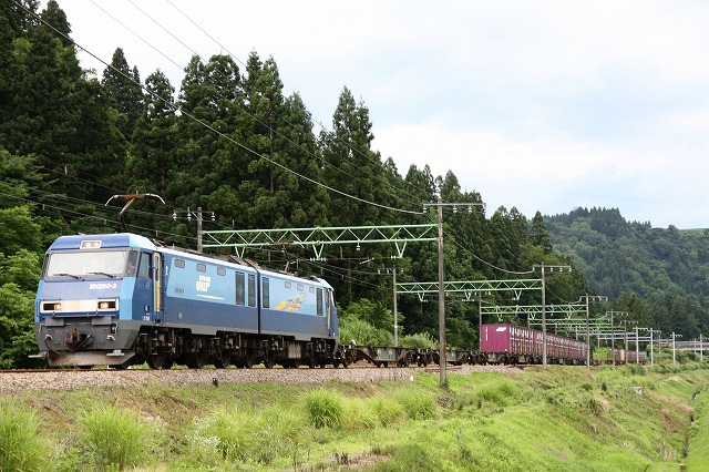 b0002858_23102793.jpg