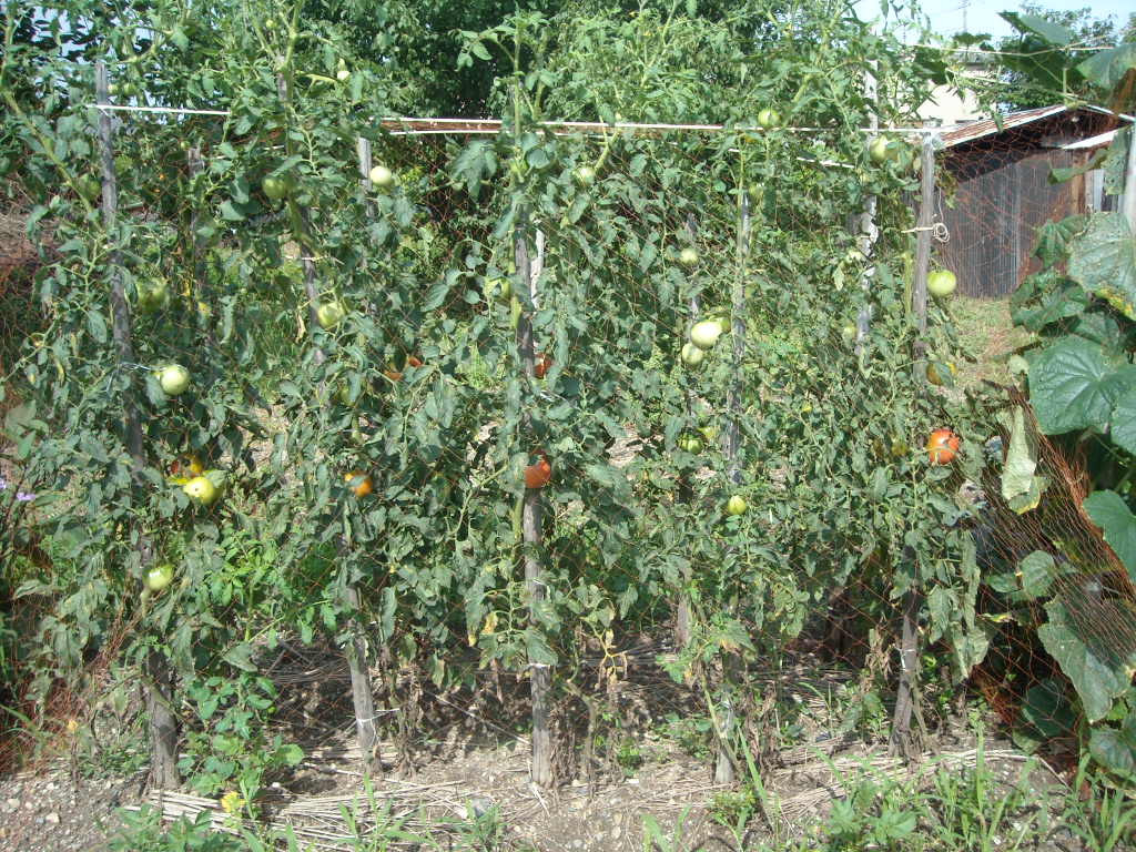 d0137658_041173.jpg