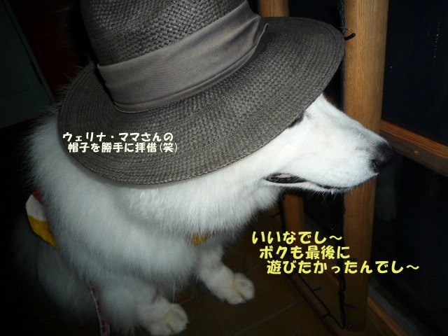 e0176159_12392358.jpg