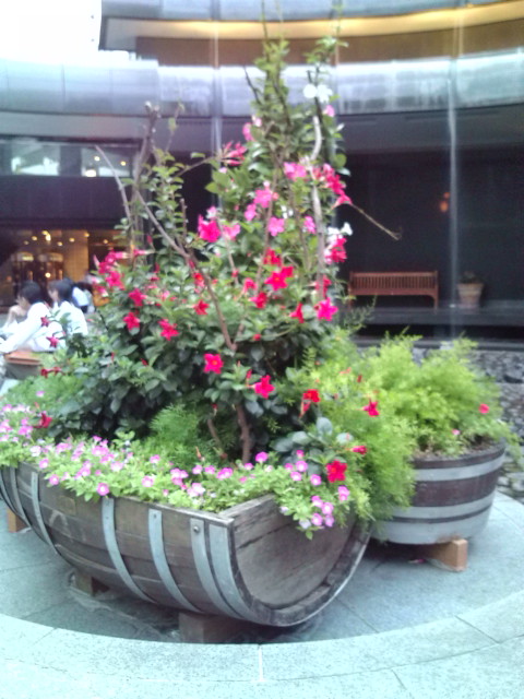 e0116960_23264275.jpg